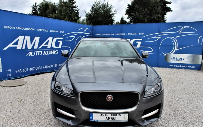 Jaguar XF cena 117800 przebieg: 22000, rok produkcji 2018 z Nowy Targ małe 529